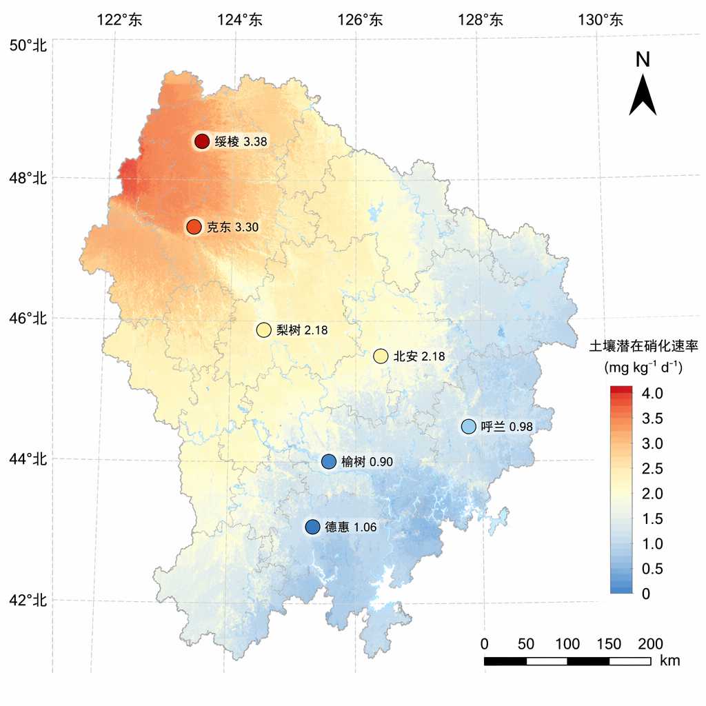 文档图片